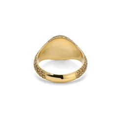 Sig Oval Ring | Pave | Cognac Diamonds | Yellow Gold