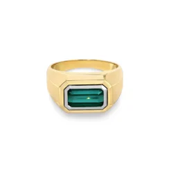Solitaire Rectangle Ring | Green Tourmaline | Small Scale | Mixed Metal