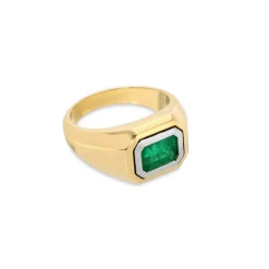 Solitaire Rectangle Ring | Emerald | Small Scale | Mixed Metal