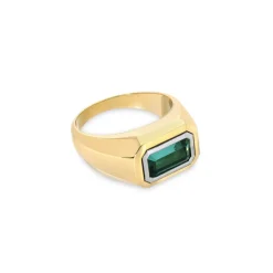 Solitaire Rectangle Ring | Green Tourmaline | Small Scale | Mixed Metal