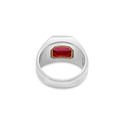 Solitaire Ring | Rubylite | Small Scale | Mixed Metal